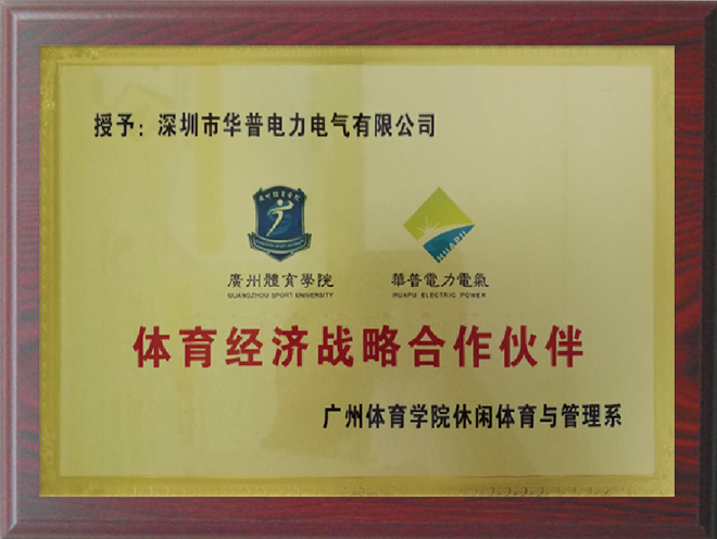 體育經濟戰略合作伙伴